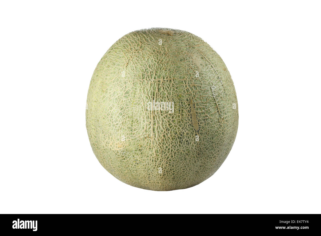 Il melone Cantalupo frutto di isolati su sfondo bianco. Foto Stock