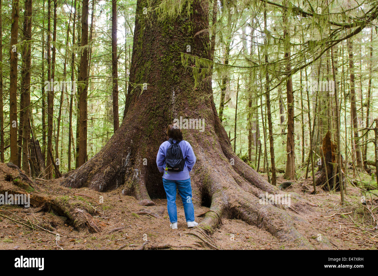 Donna escursioni nel Naikoon Provincial Park foresta pluviale foresta pluviale, Haida Gwaii, Queen Charlotte Islands, British Columbia, Canada. (SIG.) Foto Stock