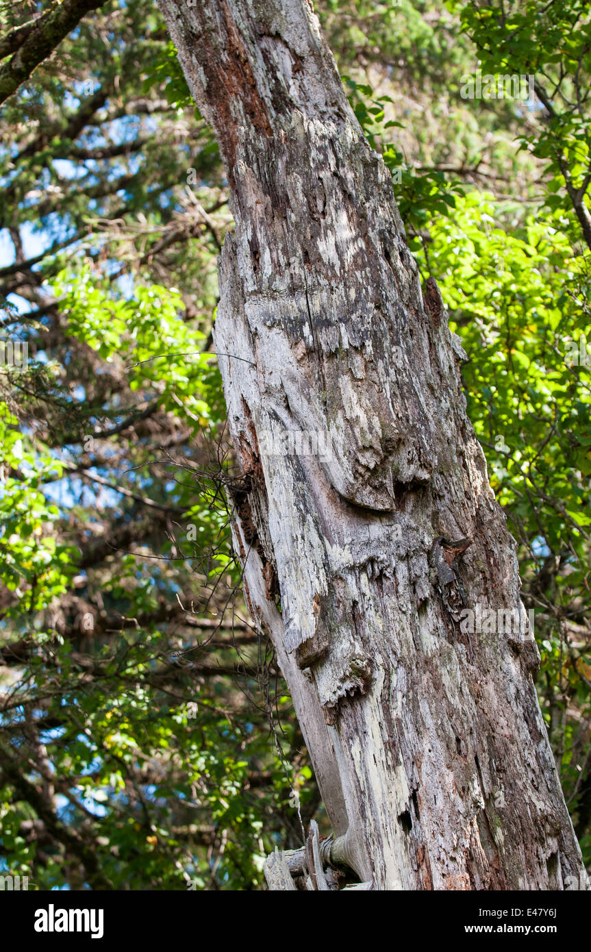 Totem Skedans, K'uuna Llnagaay, antiche delle prime nazioni rovine del villaggio, Graham Island, Haida Gwaii, Queen Charlotte Islands, British Columbia, Canada. Foto Stock