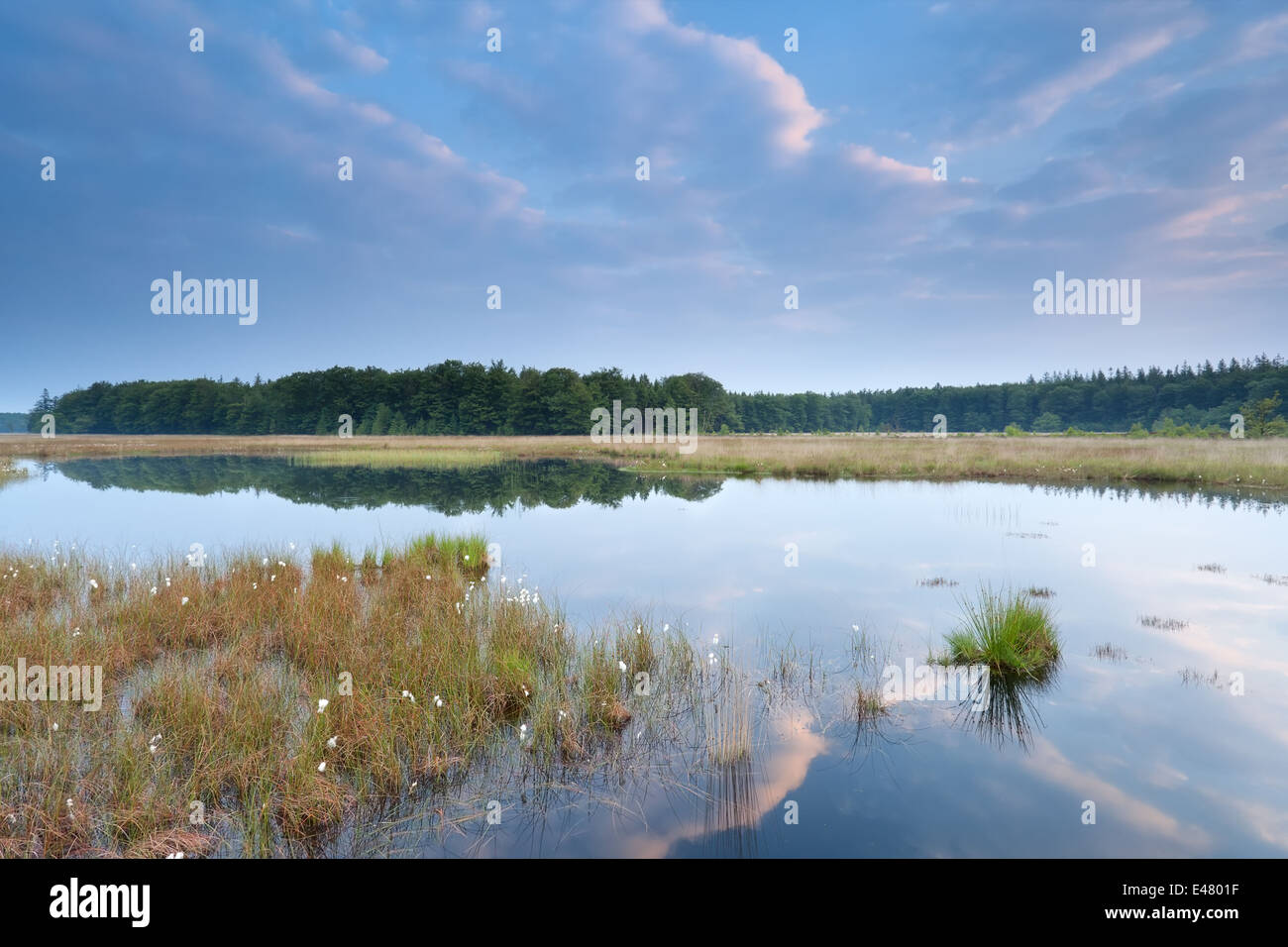 Cielo blu riflessa nel lago selvaggio in mattinata Foto Stock