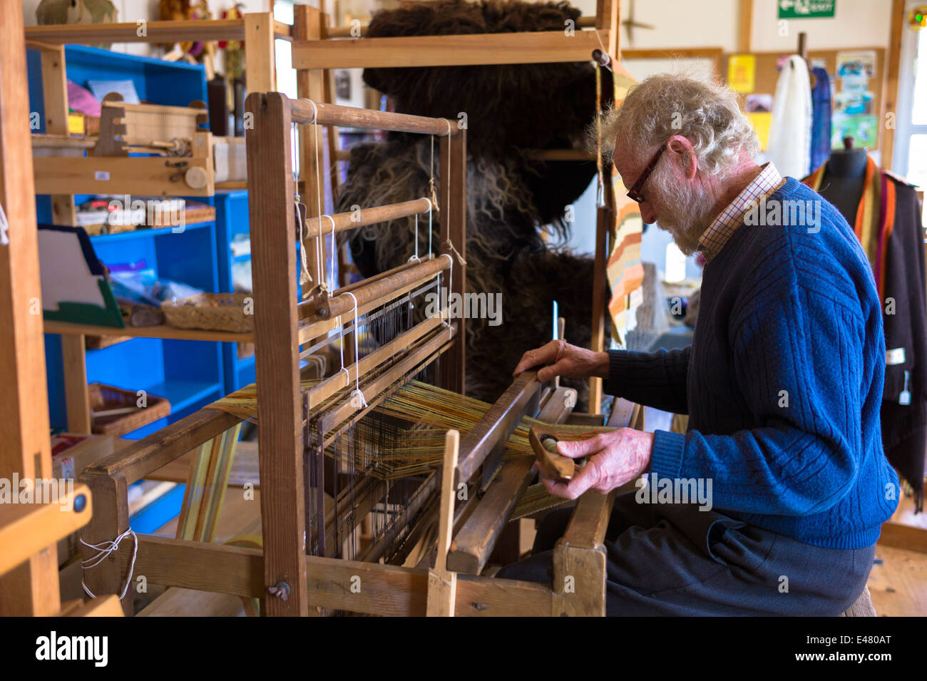 Artigiano usando il tradizionale telaio per la tessitura della lana di lana fatti a mano sciarpa a Croft tessitori di lane nelle Highlands della Scozia Foto Stock