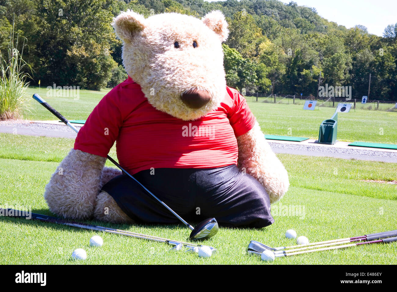 Oversized orsacchiotto di peluche vestito in golf maglietta e pantaloni  corti sul driving range e mettendo il raccordo a t Foto stock - Alamy