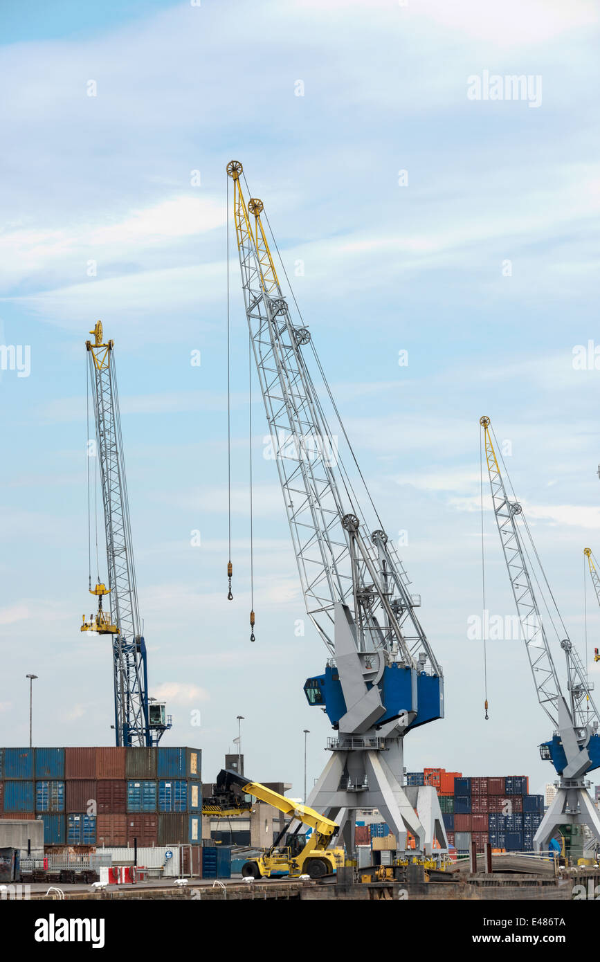 Grande gru per trasporto di containeers nel porto olandese Foto Stock