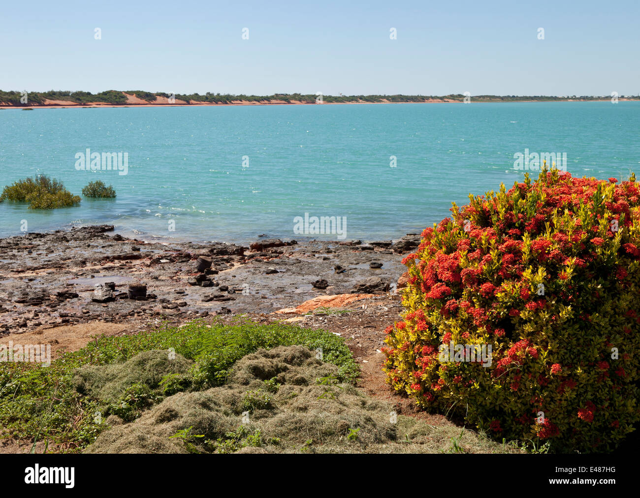 Tipico litorale vicino al porto in Broome in Australia Occidentale Foto Stock