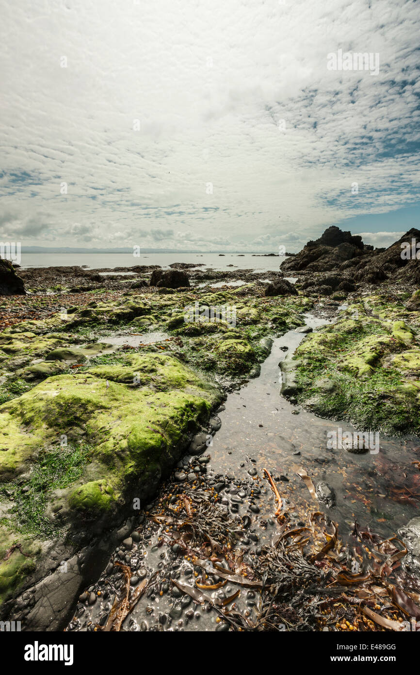 Paesaggio sereno con alghe marine e le rocce su un giorno di estate Foto Stock
