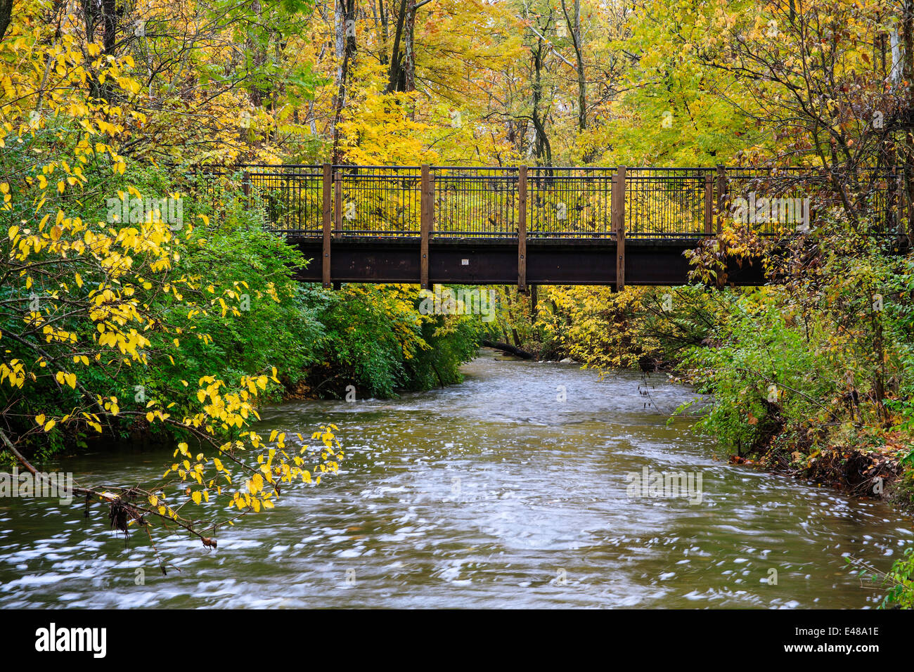 Un piede ponte su un fiume in autunno al parco dei Boschi di Sharon, Southwestern Ohio, Stati Uniti d'America Foto Stock