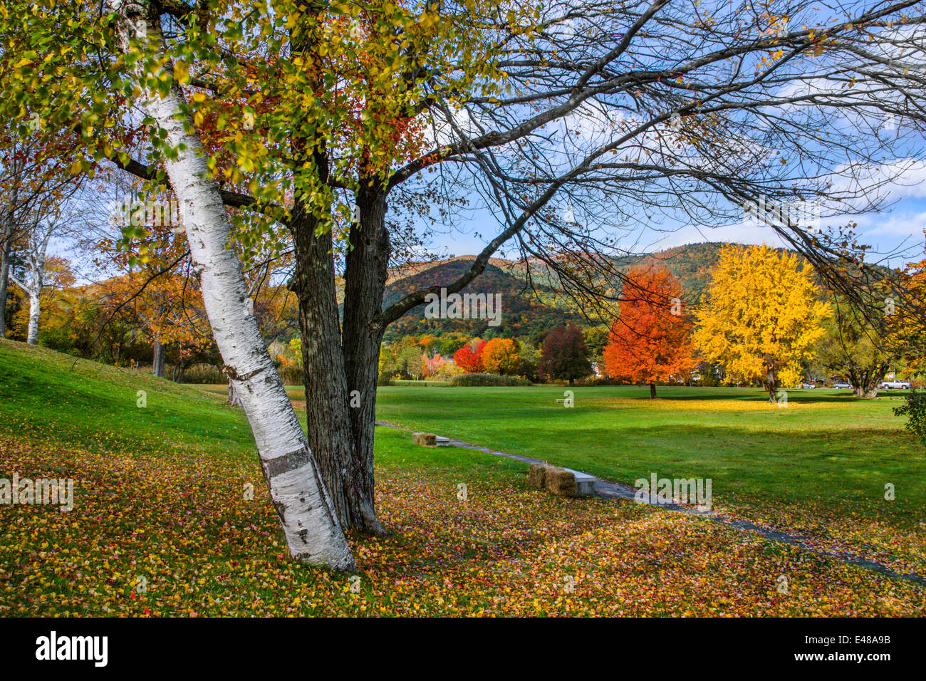 Alberi nel Parco Battlefield esplode con i colori dell'autunno, Lake George nelle Montagne Adirondack, dello Stato di New York, Stati Uniti d'America Foto Stock