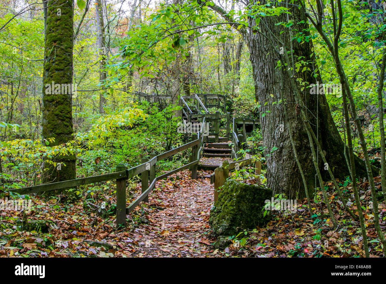 Un percorso a piedi in legno con corrimano e gradini lungo il piccolo fiume Miami presso la Clifton Gorge, Clifton Ohio, Stati Uniti d'America Foto Stock