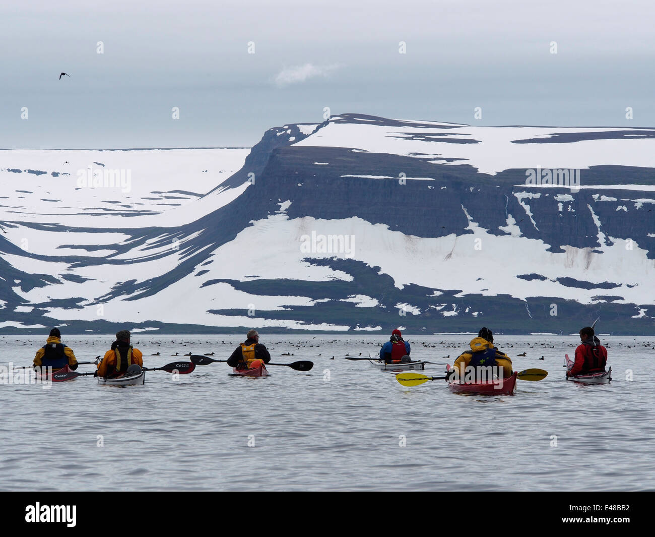 Kayak di mare nel fiordo vicino Vigur con Snaefjallaströnd dietro, a ovest di fiordi, Islanda Foto Stock