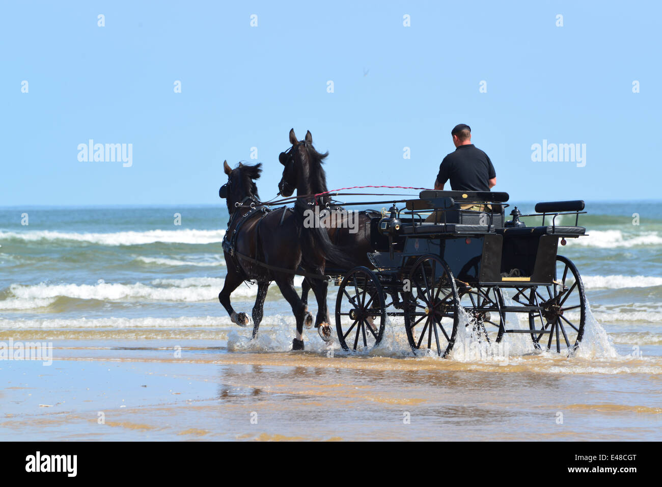 La famiglia di cavalleria reggimento montato a Holkham beach sul loro primo giorno vi durante il summer camp in Norfolk. 2.7.14 Foto Stock