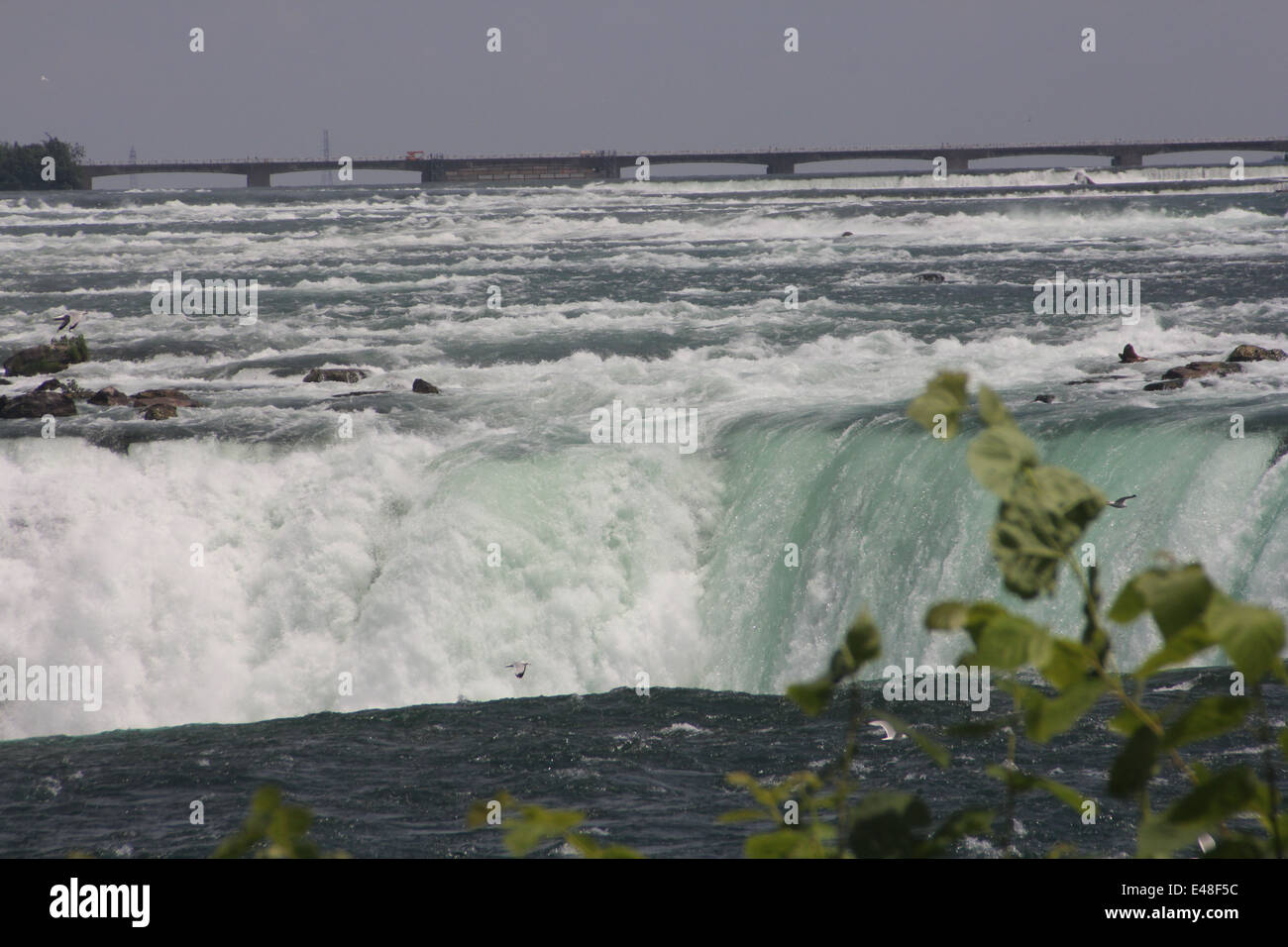 Dalla tabella Rock, in vista di un veloce movimento di acqua che fluisce oltre il baratro del Horseshoe Falls Foto Stock