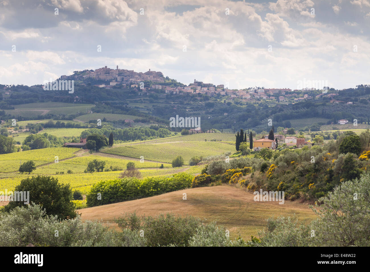 Vigneti vicino a Montepulciano, Toscana. La zona è un importante produttore di alimenti e bevande. Foto Stock