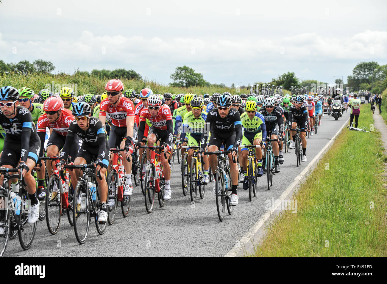 Hammerton verde, nello Yorkshire, Regno Unito. 6 Luglio, 2014. Il peleton sulla seconda tappa del Tour de France Credit: Richard Burdon/Alamy Live News Foto Stock