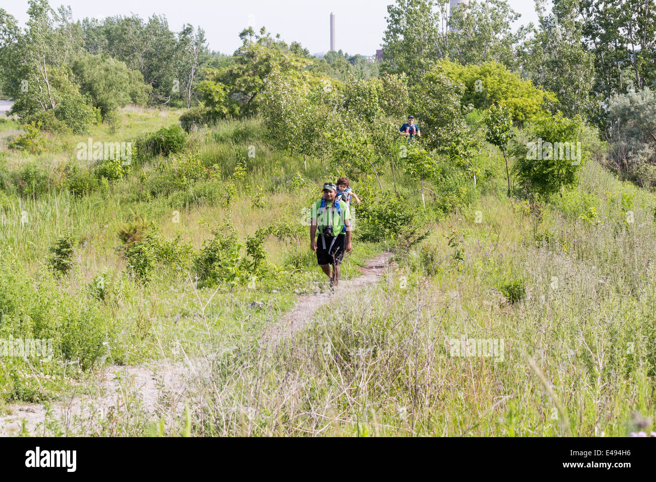 Uomo con figlio nello zaino escursionismo su un sentiero a Leslie St spiedo o Tommy Tompson Park nel centro cittadino di Toronto. Foto Stock