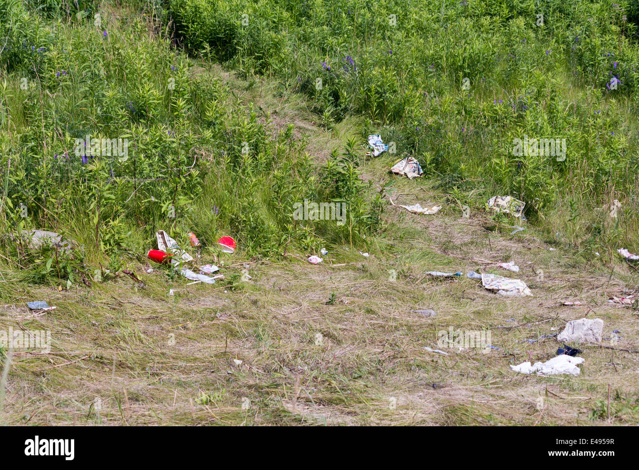 Cucciolata sparsi sull'erba a Leslie st spiedo o Tommy Thompson Park di Toronto Ontario. Foto Stock