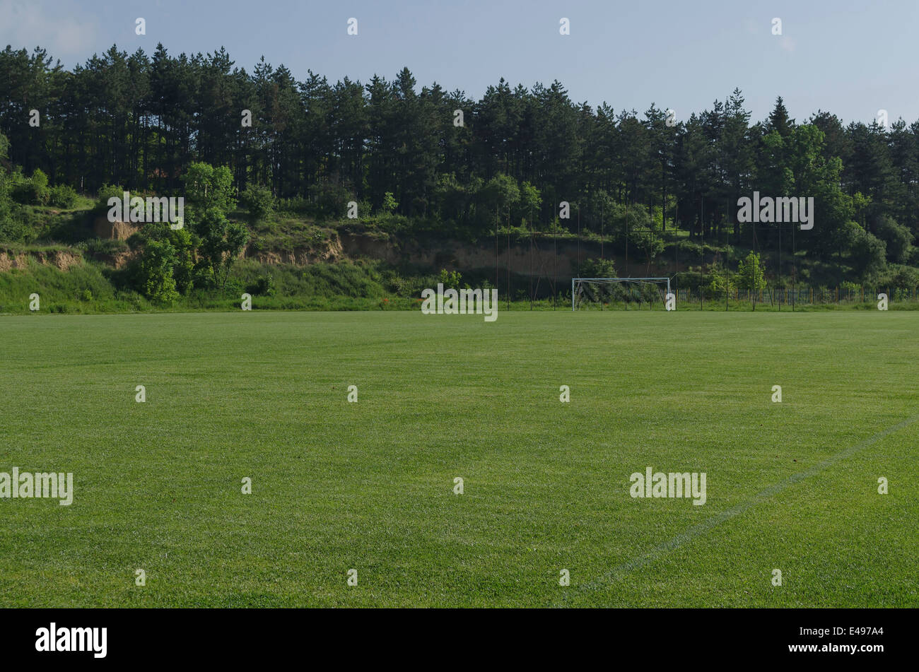 Verde naturale rifinito erba campo sportivo per il gioco del calcio Foto Stock
