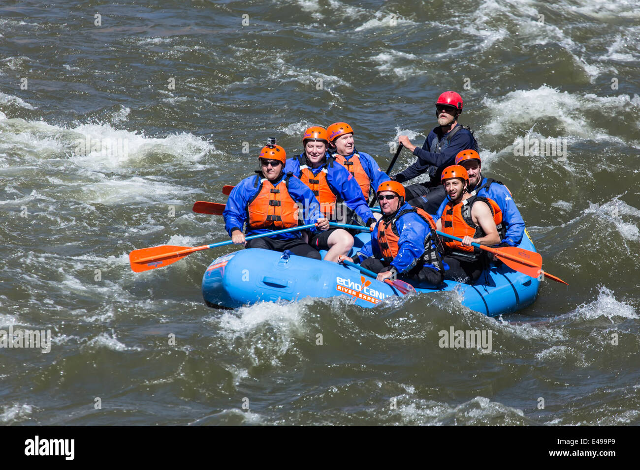 White water rafting sul fiume Arkansas, vicino alla città di Canon, Colorado, STATI UNITI D'AMERICA Foto Stock