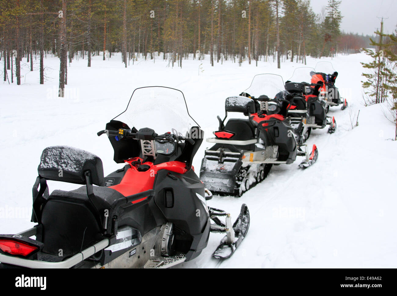 Motoslitte nei boschi vicino a Rovaniemi in Lapponia, Finlandia Foto Stock