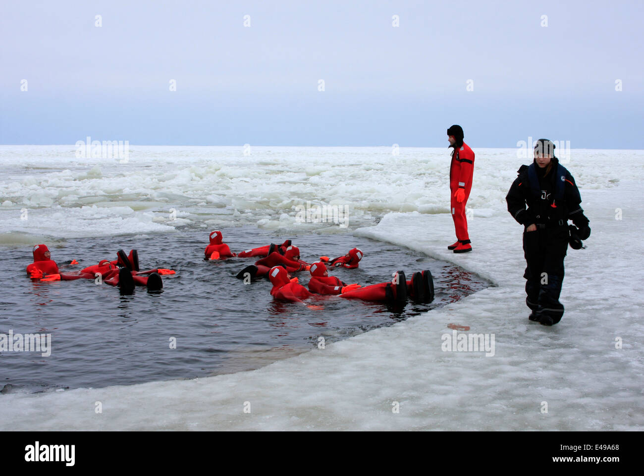 Nuotare nelle gelide acque del Golfo di Botnia nei pressi di Kemi in Finlandia dopo il viaggio su nave rompighiaccio Sampo, Foto Stock