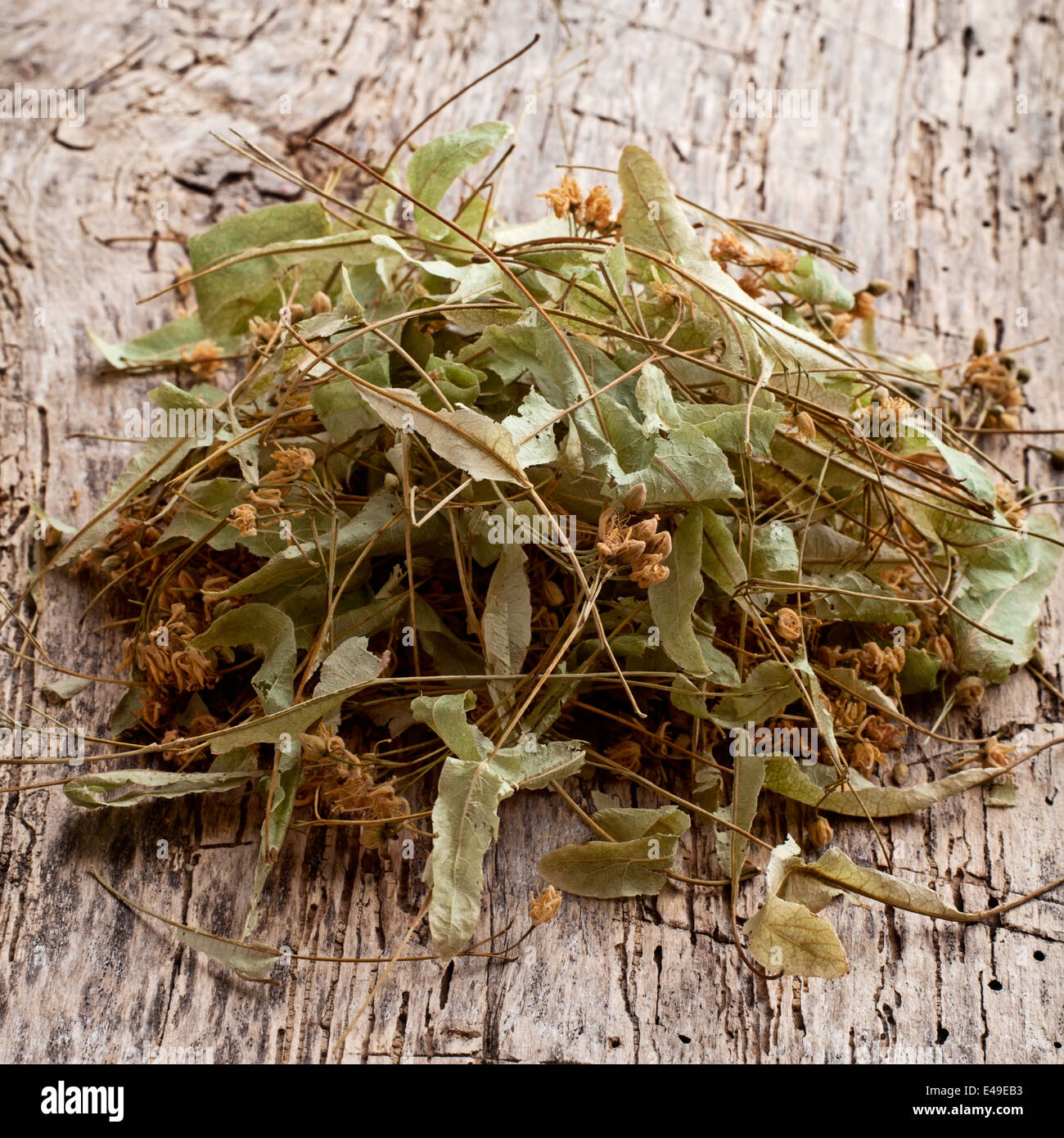 Fiori di tiglio, tè alle erbe ingredienti su legno Foto Stock
