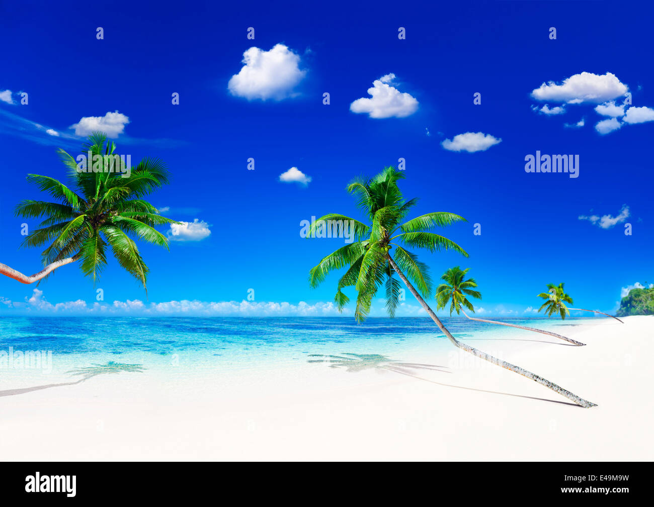 Spiaggia con sabbia bianca, palme e cielo blu Foto Stock