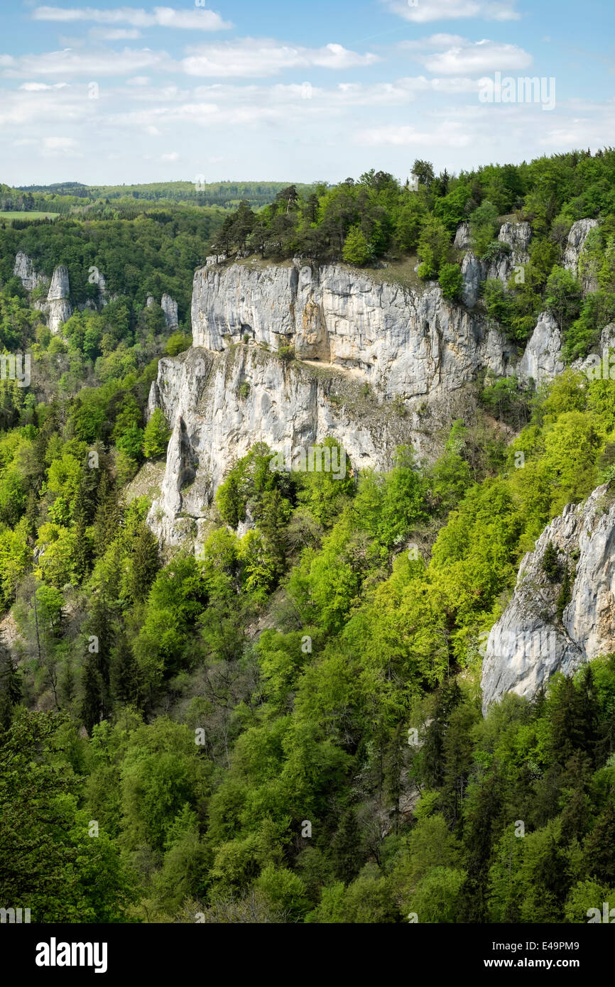 Germania Baden-Wuerttemberg, Sigmaringen distretto, vista di Jurassic rocce calcaree in alto a valle del Danubio Foto Stock