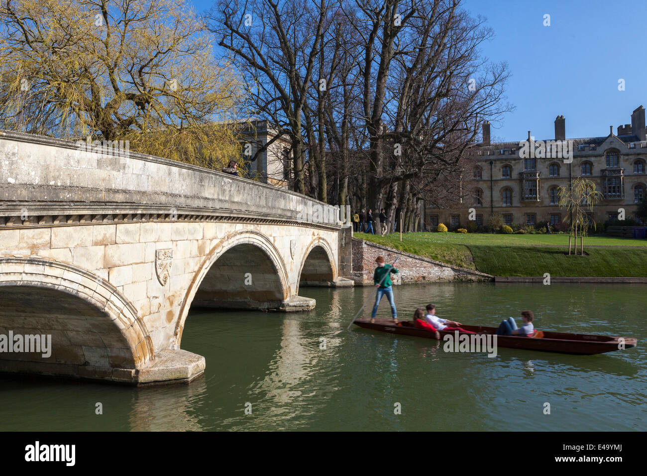 Punting lungo il fiume Cam con il Trinity College in background, spalle, Cambridge, Cambridgeshire, England, Regno Unito Foto Stock