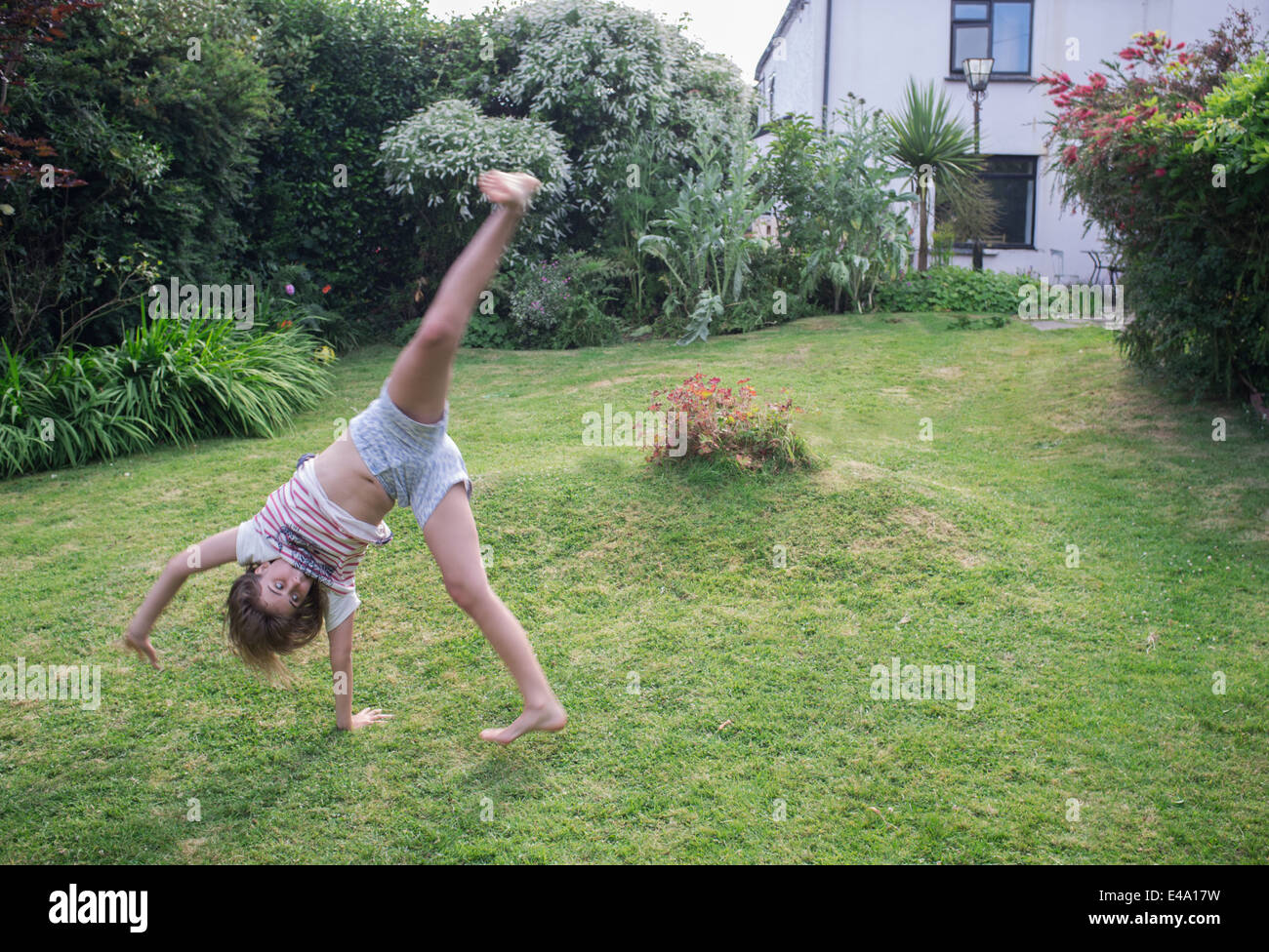Un figlio di 11 anni ragazza cartwheels pratiche in giardino Foto Stock