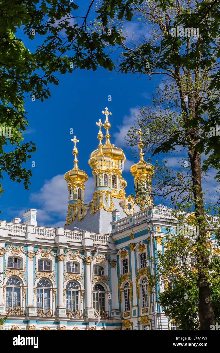 Vista esterna del Palazzo di Caterina, Tsarskoe Selo, San Pietroburgo, Russia, Europa Foto Stock
