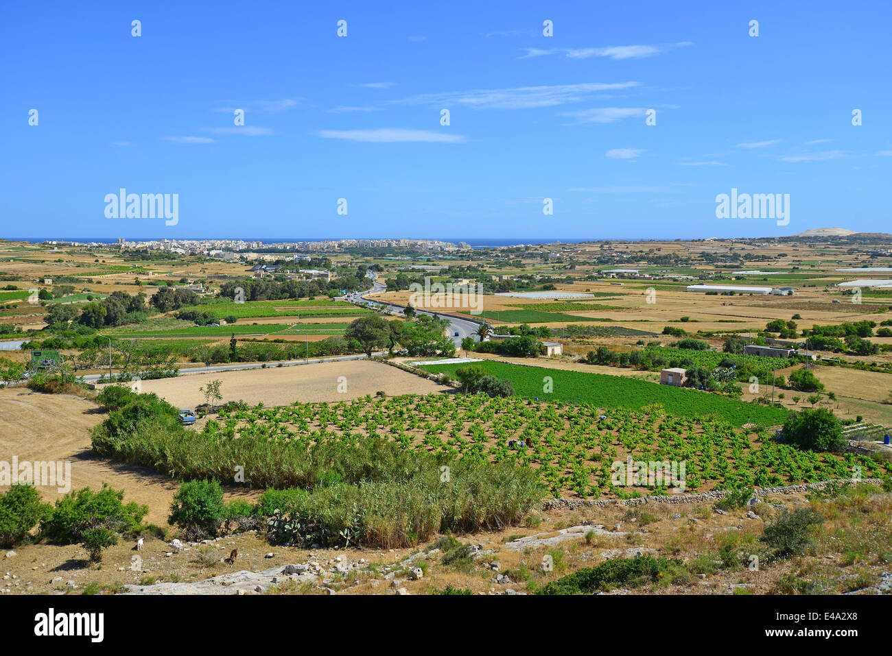 Vista sulla campagna dalla strada a Mosta (Il-Mosta), il distretto settentrionale, Malta Majjistral Regione, Repubblica di Malta Foto Stock