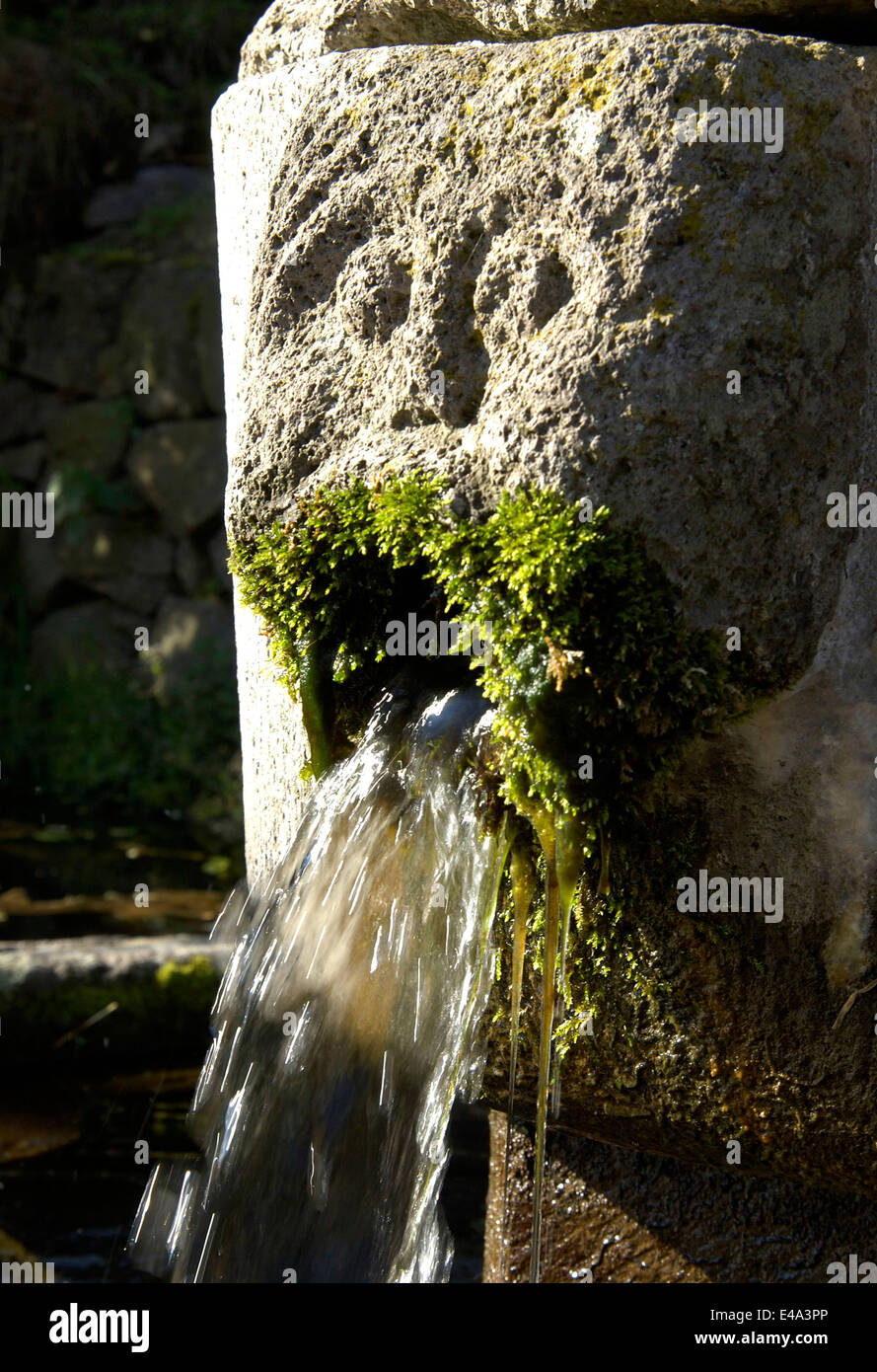 Fontana medievale di Bredons, Cantal, Auvergne, in Francia, in Europa. Foto Stock