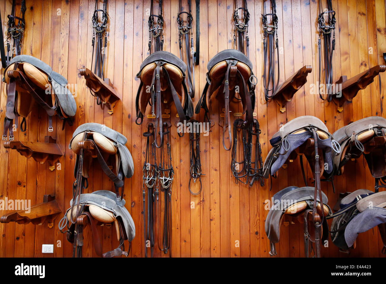 Selle e finimenti presso la Scuola Reale Andalusa di Arte Equestre, Jerez de la Frontera, Andalusia, Spagna, Europa Foto Stock