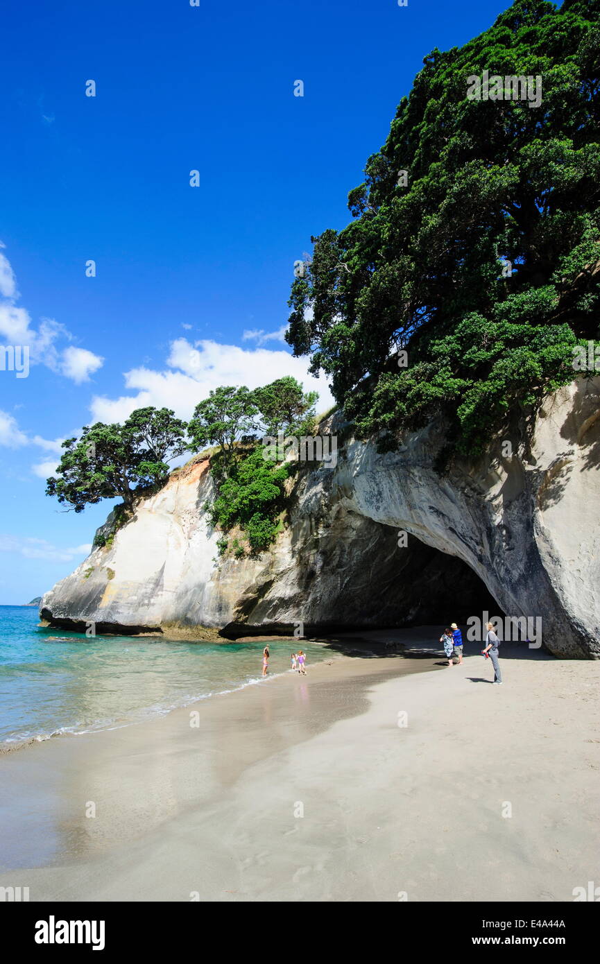 Grotta come un ingresso per la bella Cattedrale Cove, Coromandel, Isola del nord, Nuova Zelanda, Pacific Foto Stock