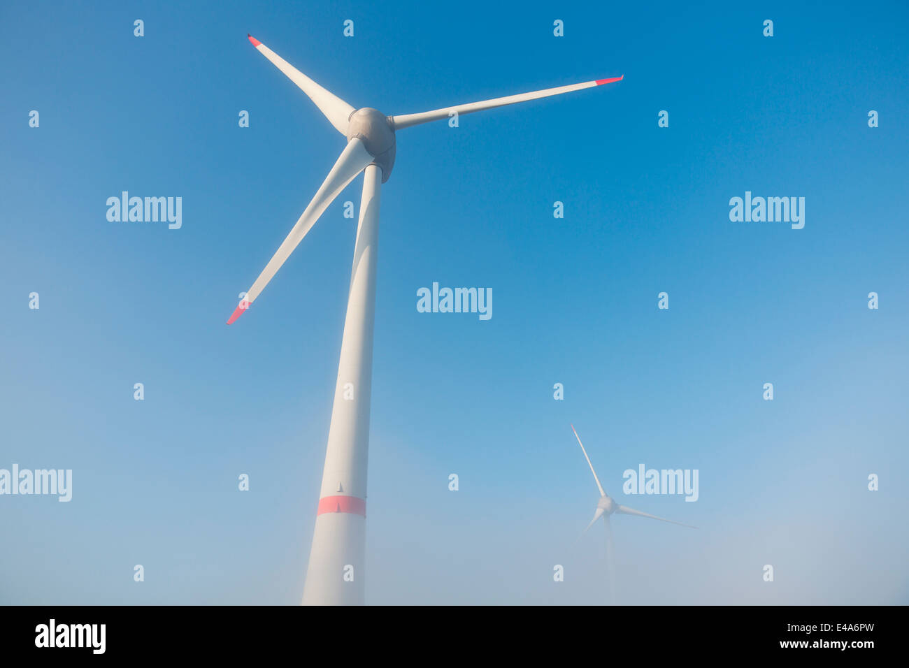 Germania, Amburgo, turbina eolica nella nebbia mattutina Foto Stock