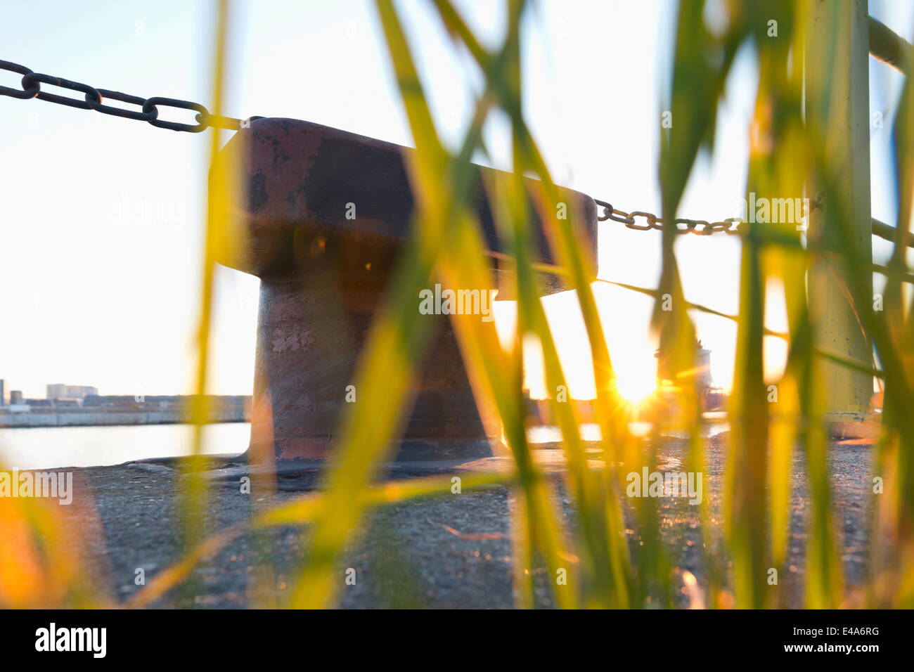 Germania, Amburgo, Norderelbe, Bollard a Schumacherwerder Foto Stock