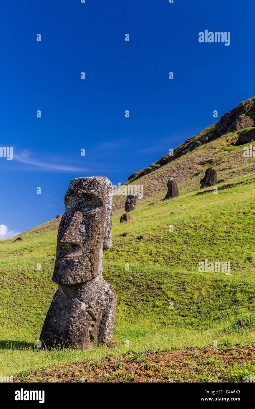 Moai sculture in varie fasi di completamento a Rano Raraku, Parco Nazionale di Rapa Nui, UNESCO, Isola di Pasqua, Cile Foto Stock
