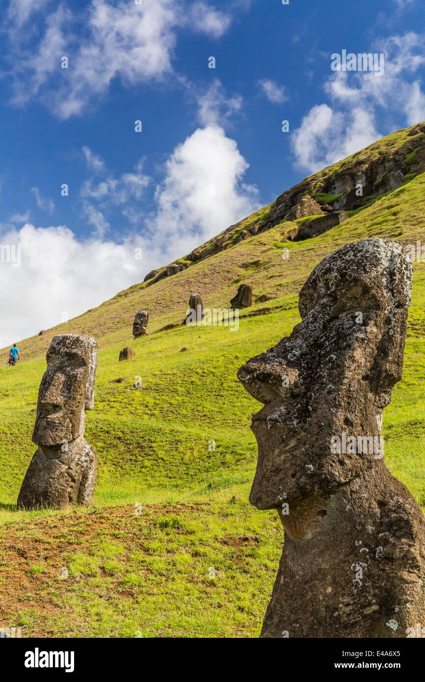 Moai sculture in varie fasi di completamento a Rano Raraku, Parco Nazionale di Rapa Nui, UNESCO, Isola di Pasqua, Cile Foto Stock