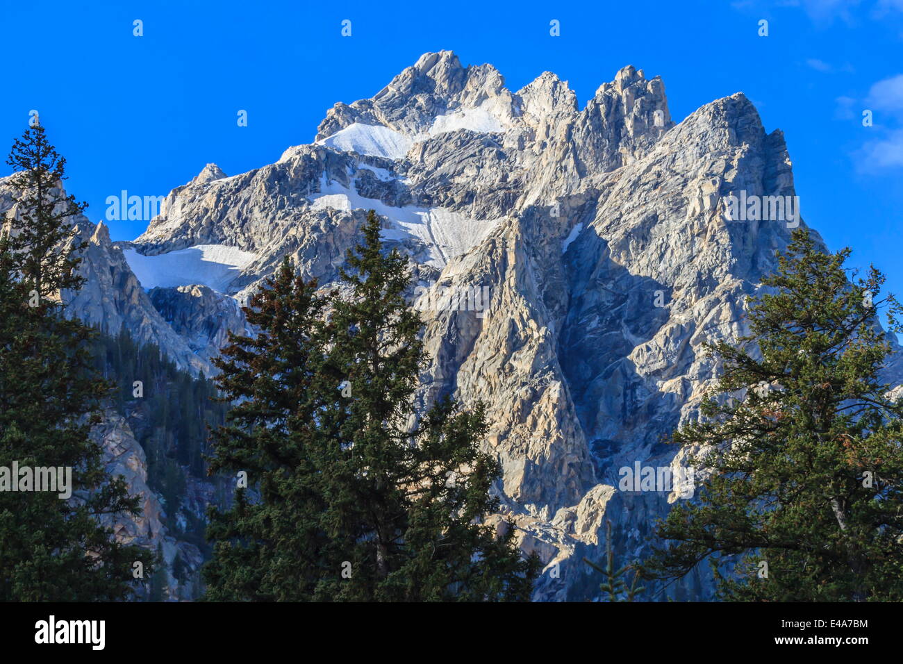 Montare Owen e pini dal Cascade Canyon, il Parco Nazionale del Grand Teton, Wyoming negli Stati Uniti d'America, America del Nord Foto Stock