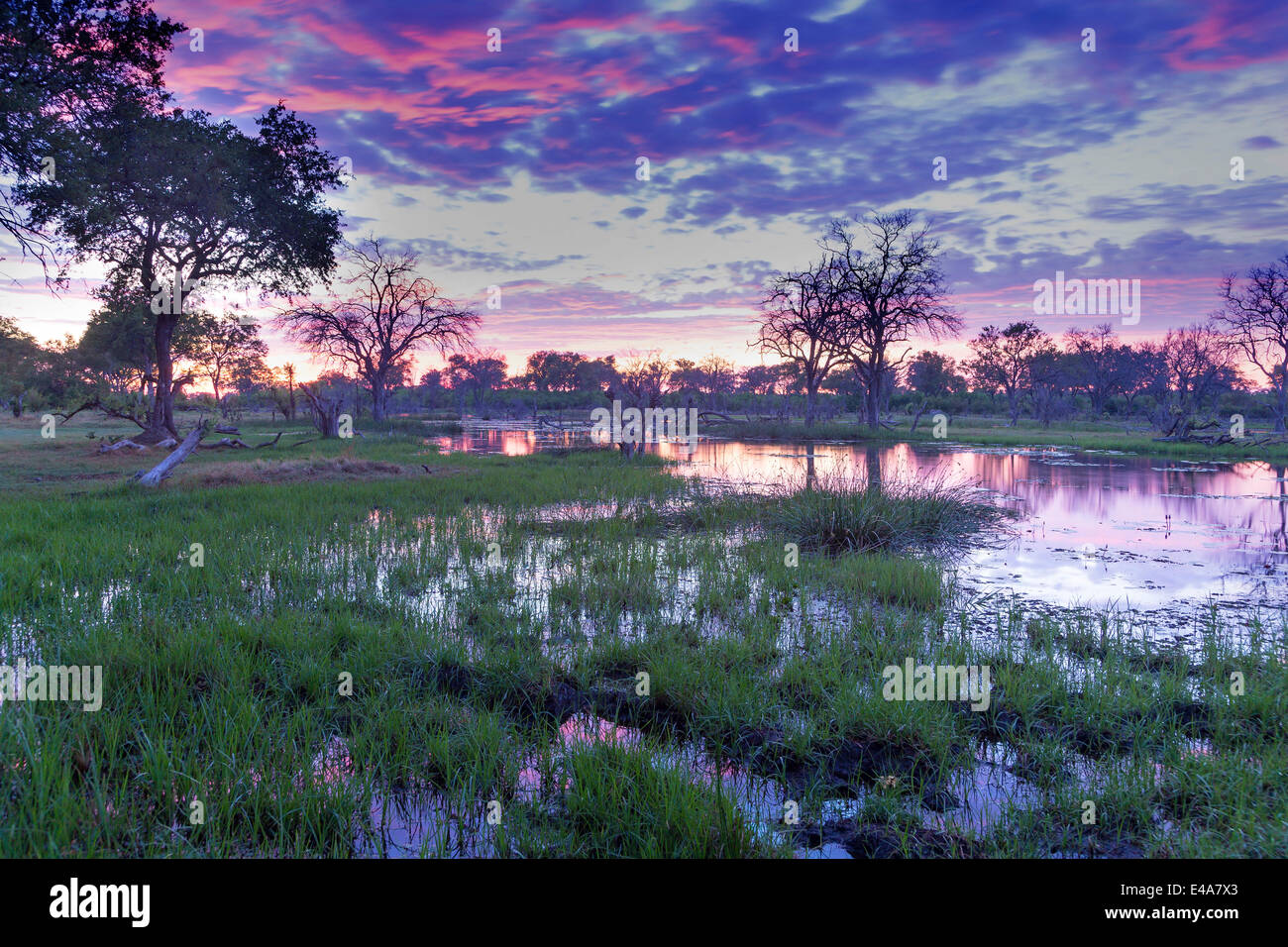 Okavango Delta, Botswana, Africa Foto Stock