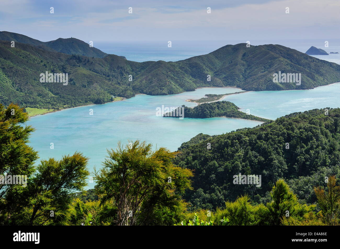 Vista sopra il Marlborough Sounds, South Island, in Nuova Zelanda, Pacific Foto Stock