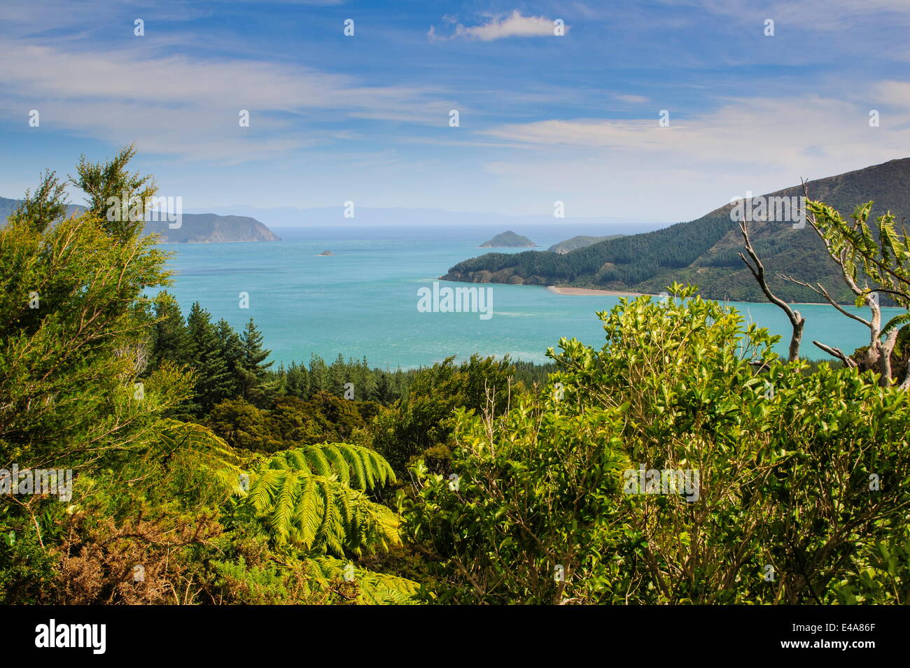 Vista sopra il Marlborough Sounds, South Island, in Nuova Zelanda, Pacific Foto Stock