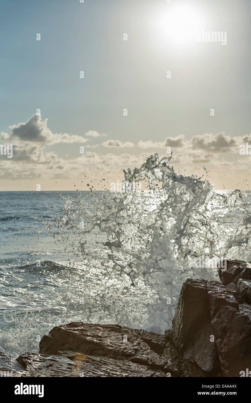 Australia, Nuovo Galles del Sud, Tweed Shire, schizzi frangionde presso la spiaggia rocciosa di Hastings punto nella prima luce del mattino Foto Stock