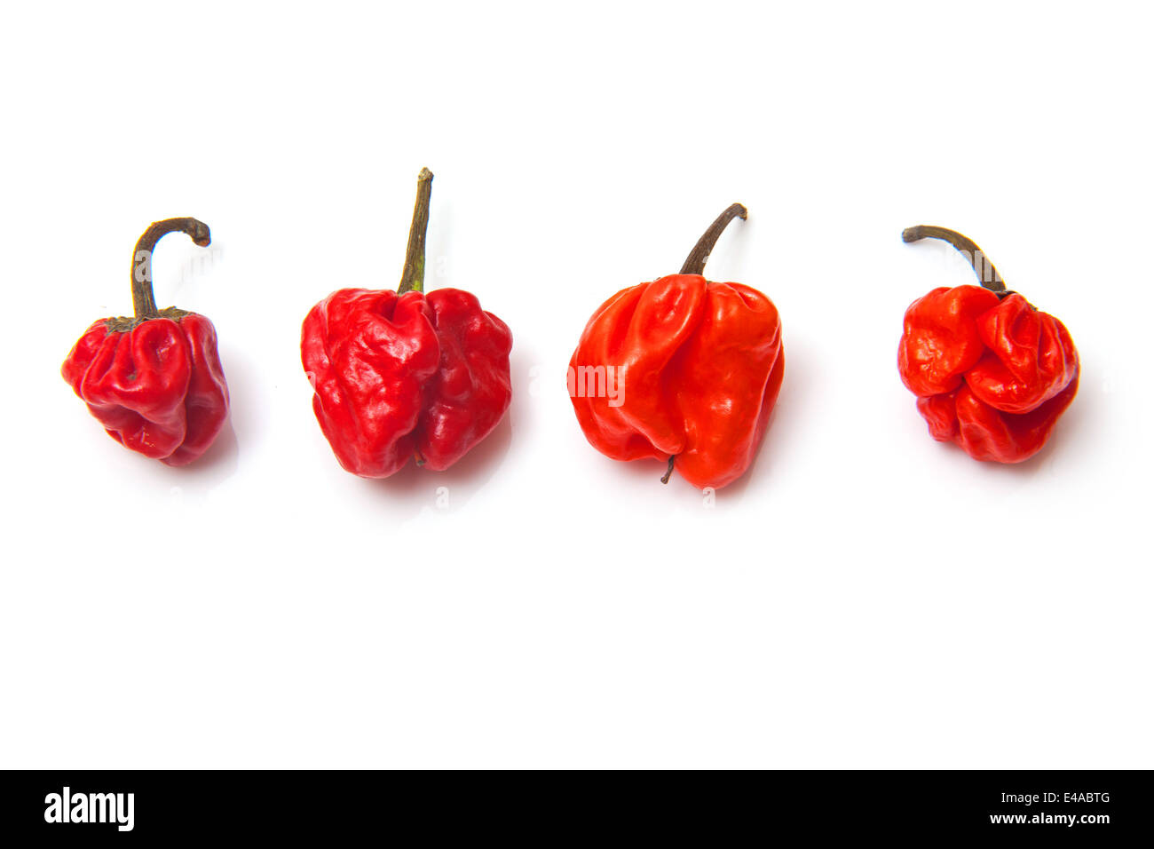 Scotch Bonnet il peperoncino o dei Caraibi peperoni isolato su un bianco di sfondo per studio. Foto Stock