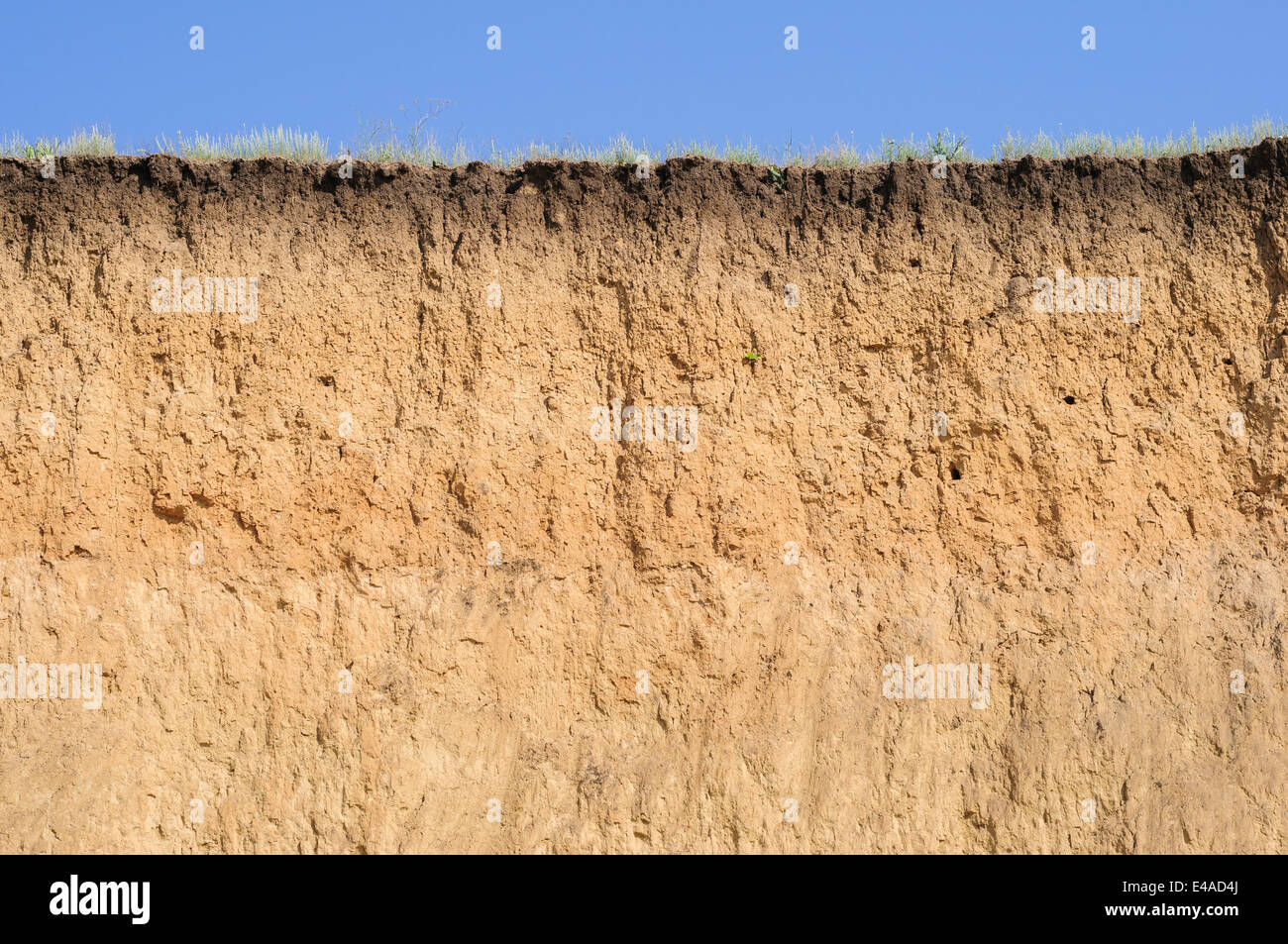 Taglio del terreno con diversi strati, erba e cielo Foto Stock