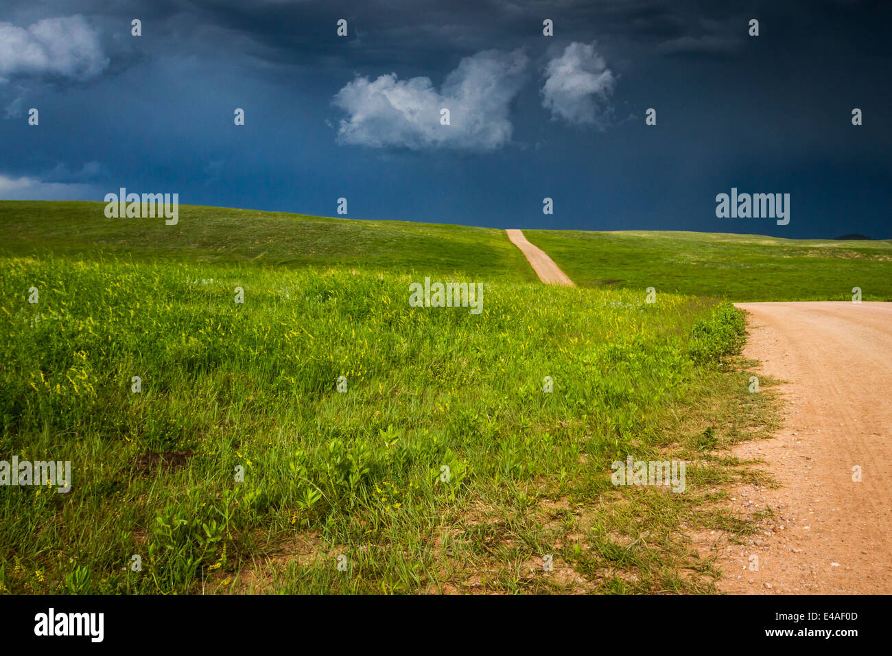Stagionale tuoni edificazione nel Custer State Park, il Dakota del Sud Foto Stock