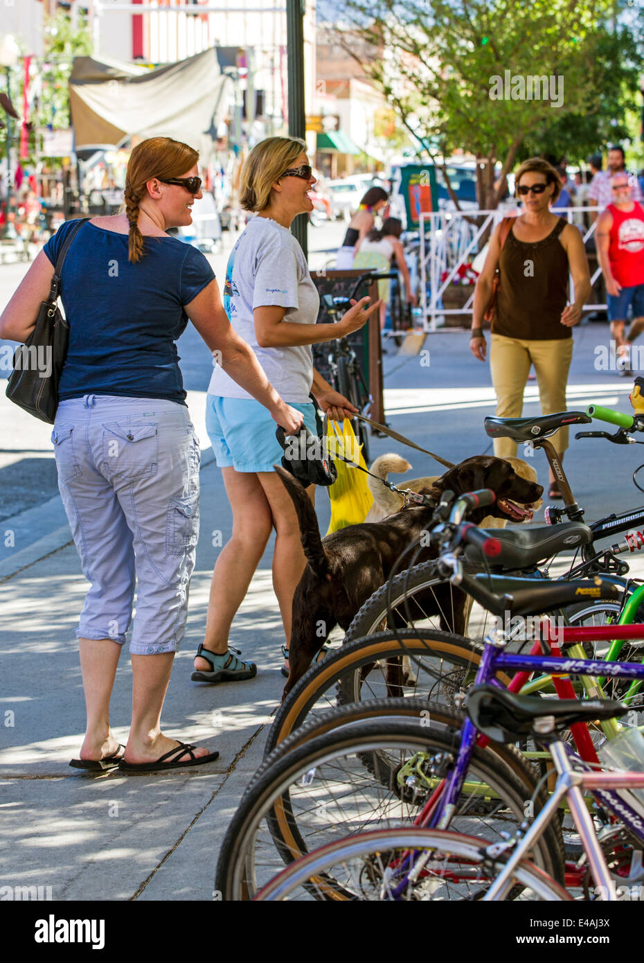 Visitatori godendo annuale di piccola città ArtWalk Festival, Salida, Colorado, STATI UNITI D'AMERICA Foto Stock