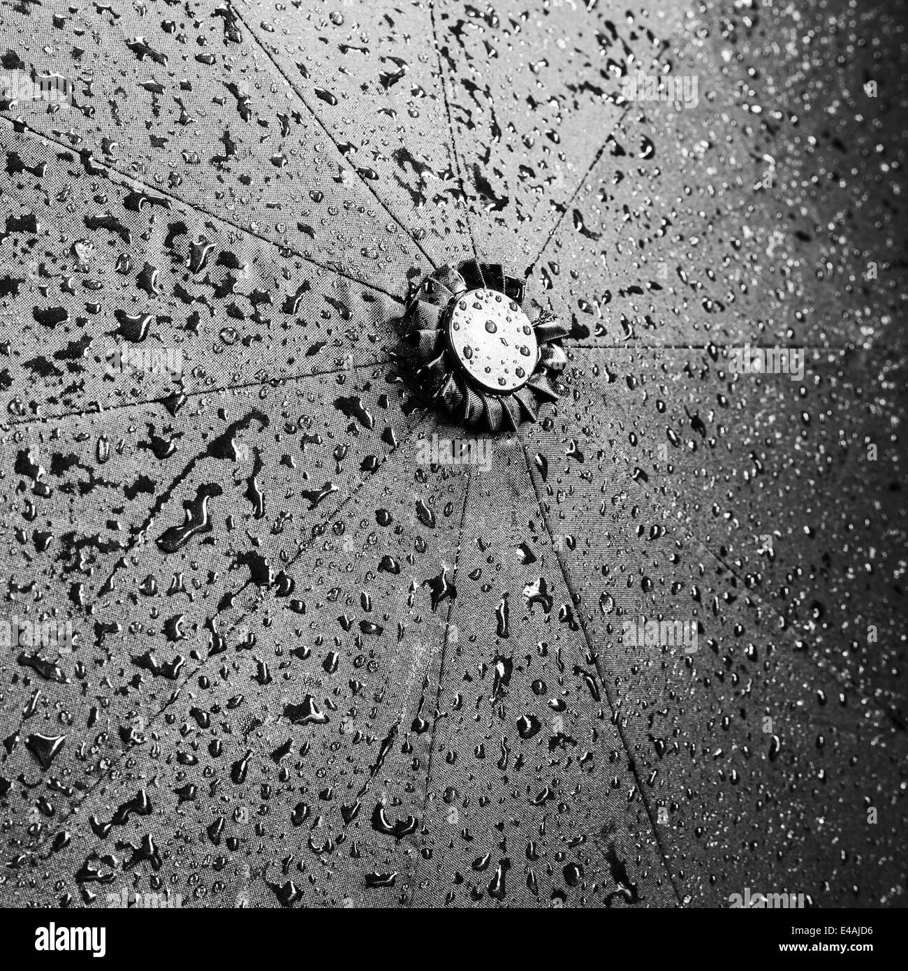 Ombrello nero lo sfondo in umido di gocce di pioggia Foto Stock