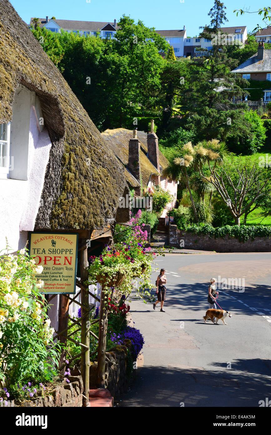 Tessitori Cottage Tea Shoppe, Cockington Village, Torquay. Devon, Inghilterra, Regno Unito Foto Stock