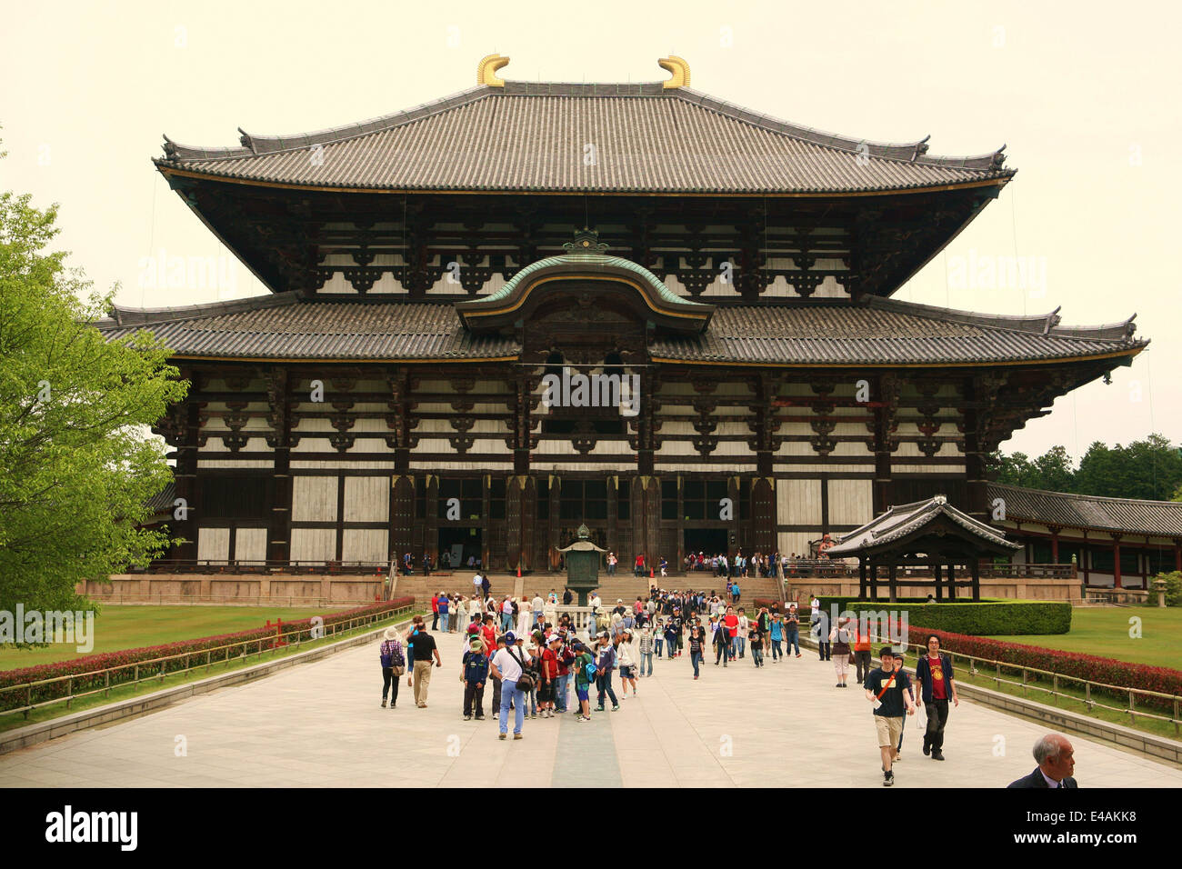 Tempio di Todai-ji di Nara il Giappone che ospita la più grande statua in bronzo di Buddha Vairocana Daibutsu 大仏 Foto Stock
