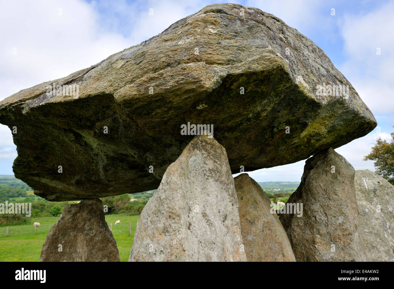 Pentre Ifan sepoltura camera, nord Pembrokeshire, Wales UK. Pietra megalitiche bilanciato sulla sommità di altri 3 Foto Stock